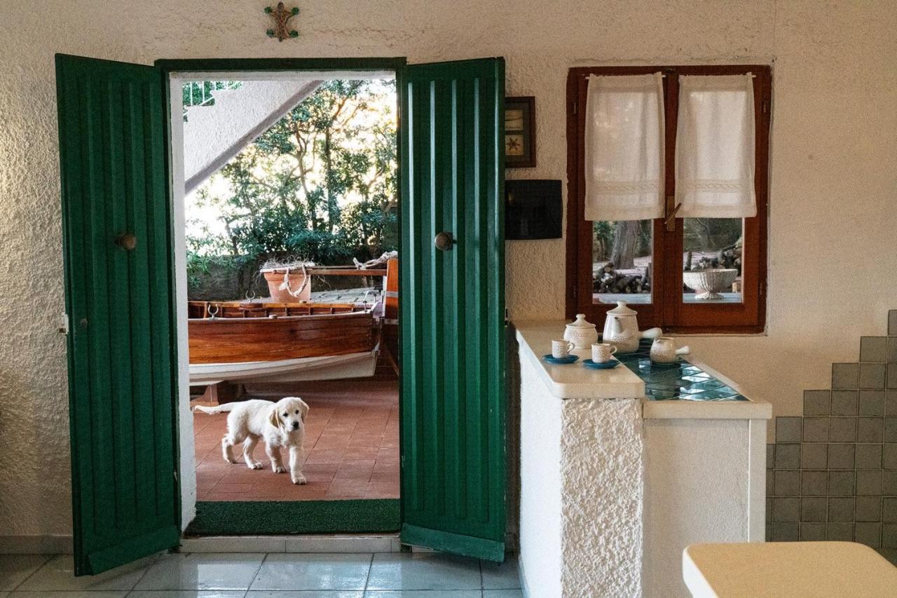 Villa Angela Santa Teresa Gallura Exterior photo